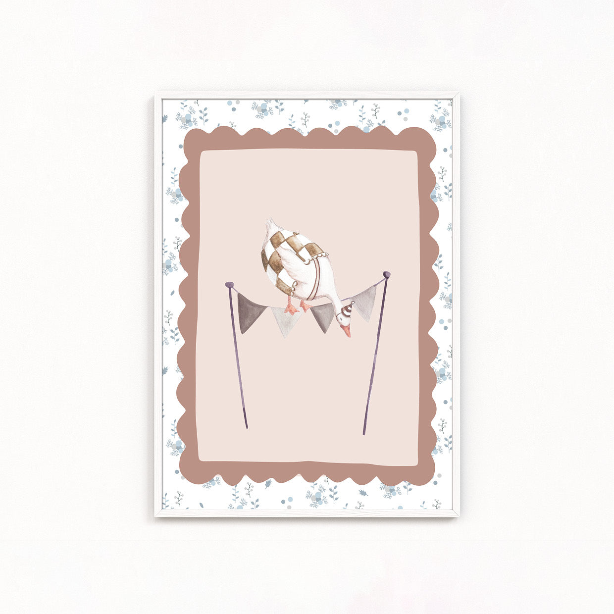 Ochetta Equilibrista