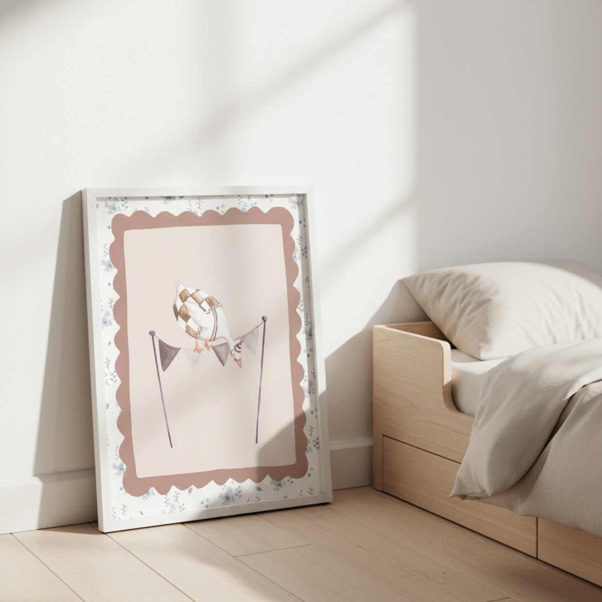 Ochetta Equilibrista